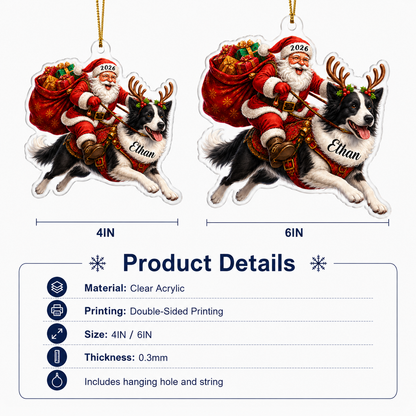 Santa Claus and Dog Border Collie