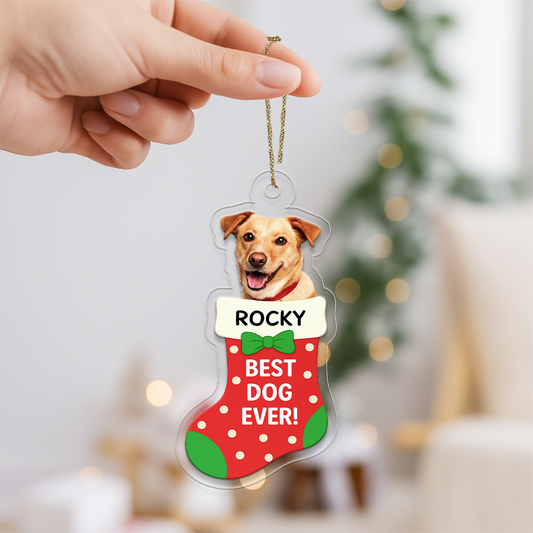 Custom Photo Dog In Stocking Christmas Ornament, Personalized Pet Ornament, Dog Photo Ornament, Pet Lover Gift, Holiday Decoration Keepsake