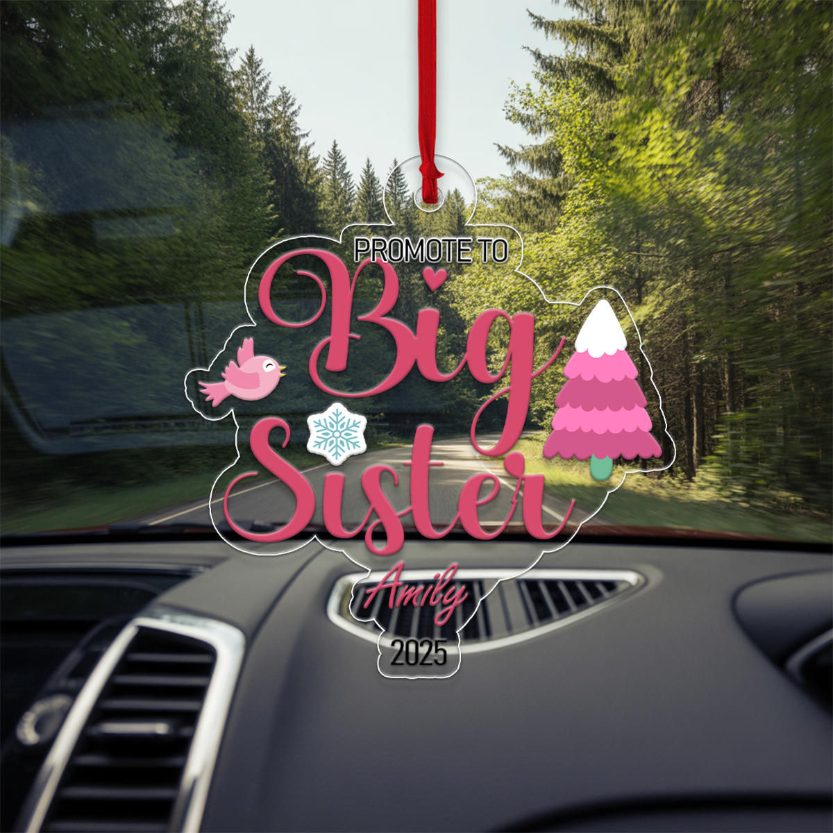 Big Sister For Family