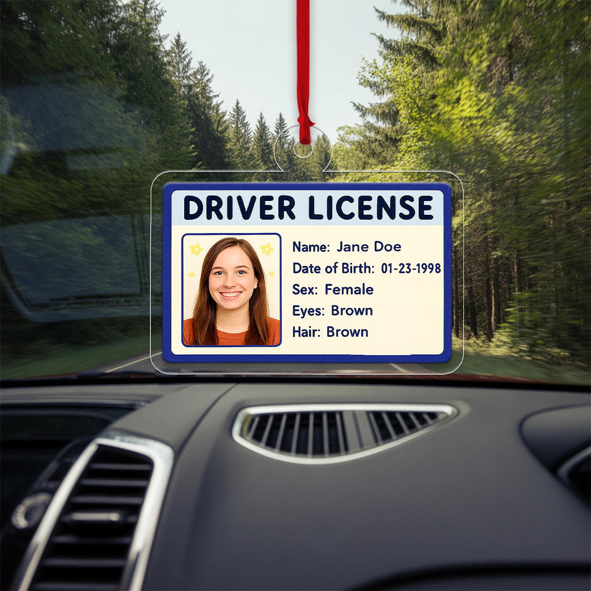 Custom Photo Driver License Ornament, Personalized ID Card Christmas Ornament, Funny Gag Gift, New Driver Ornament