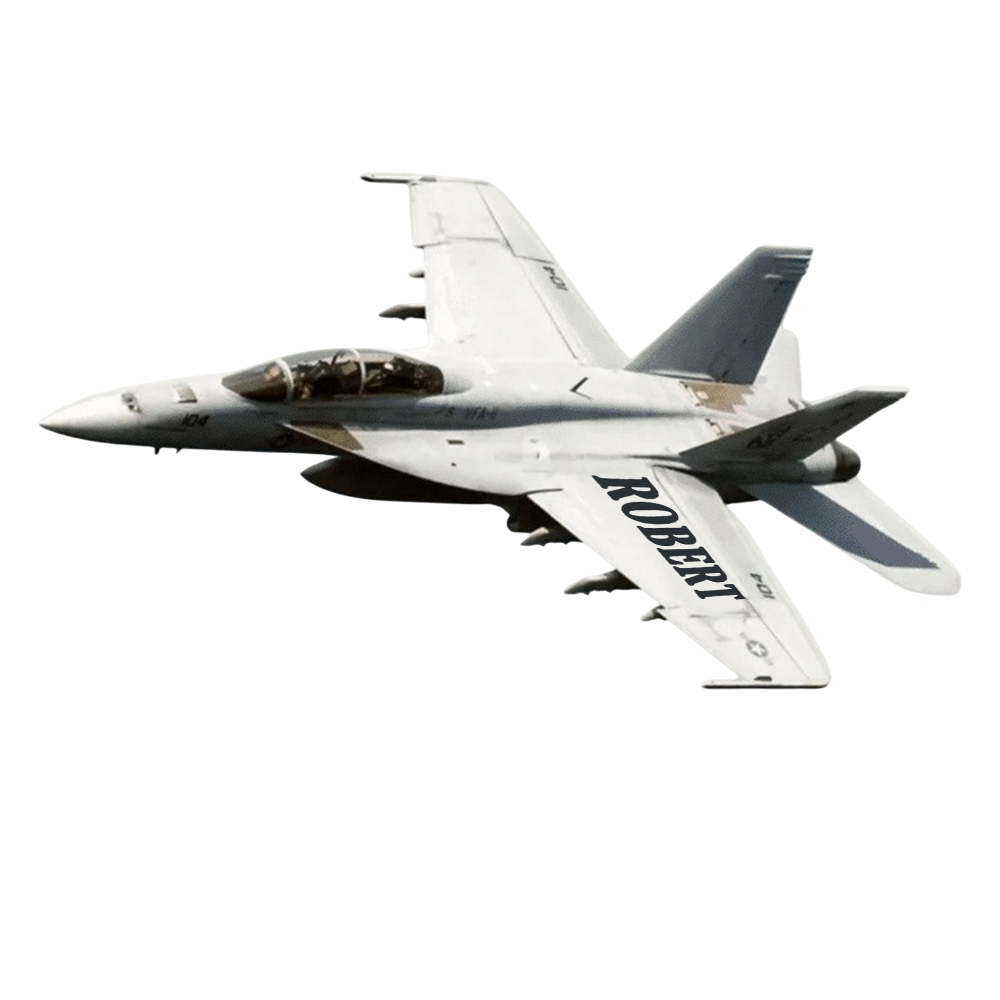 Custom Name Plane For Pilot