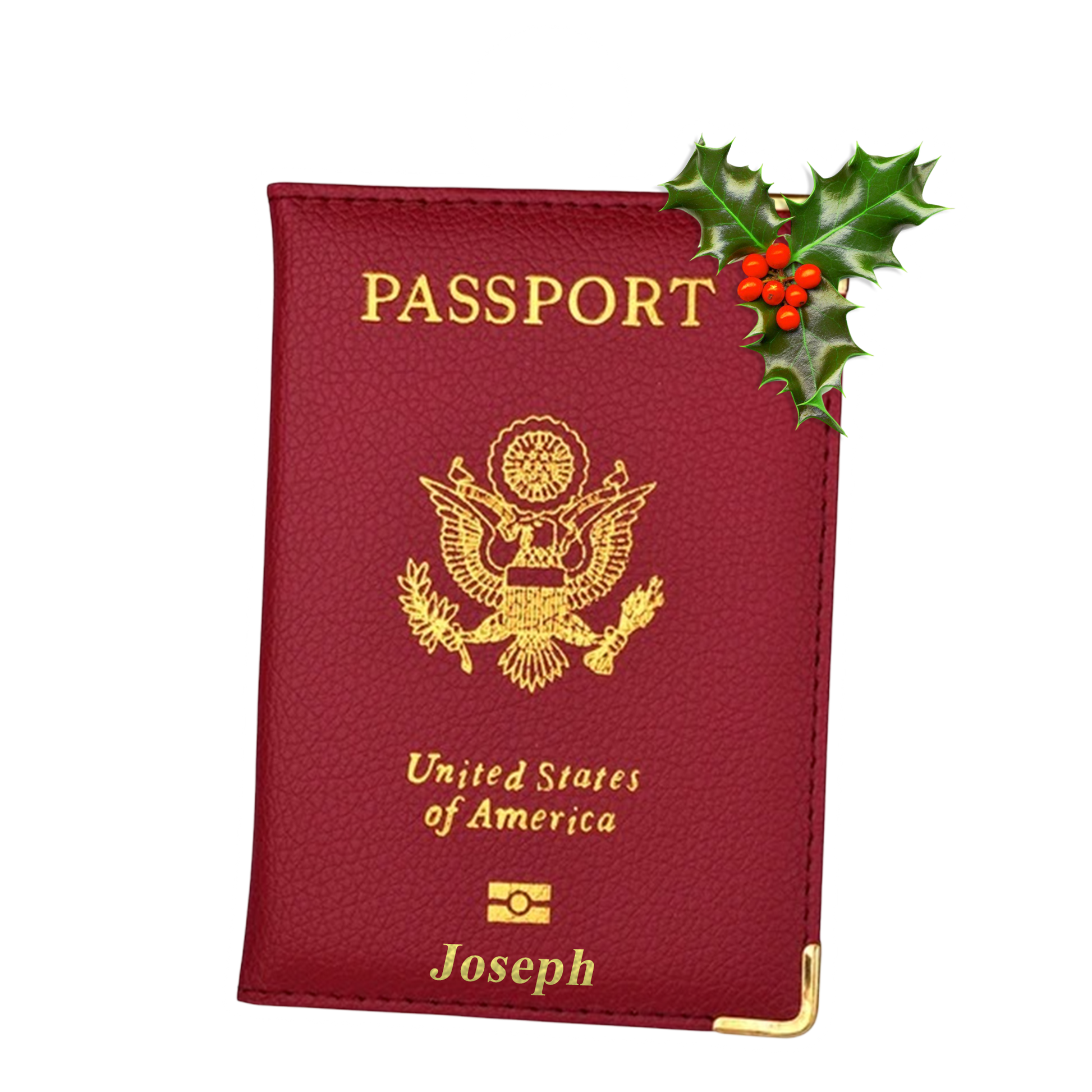 Custom Passport Xmas
