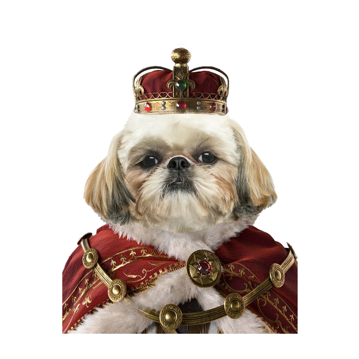 Custom Photo Pet Dog Royal 2