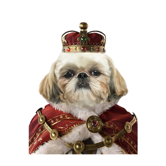 Custom Photo Pet Dog Royal 2