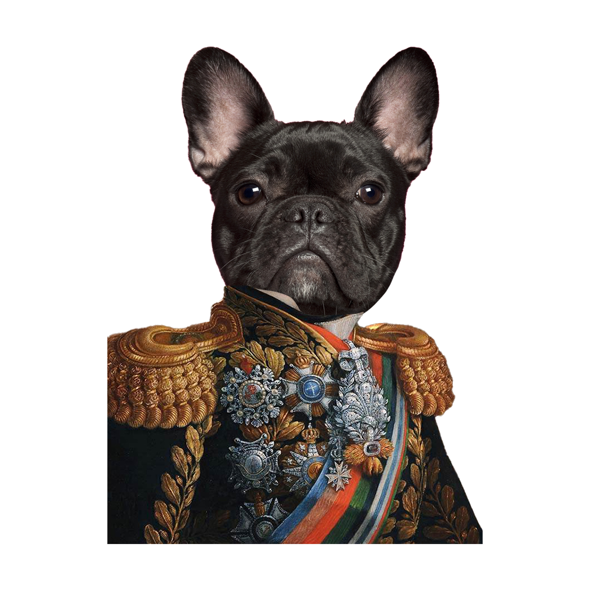 Custom Photo Pet Royal 3