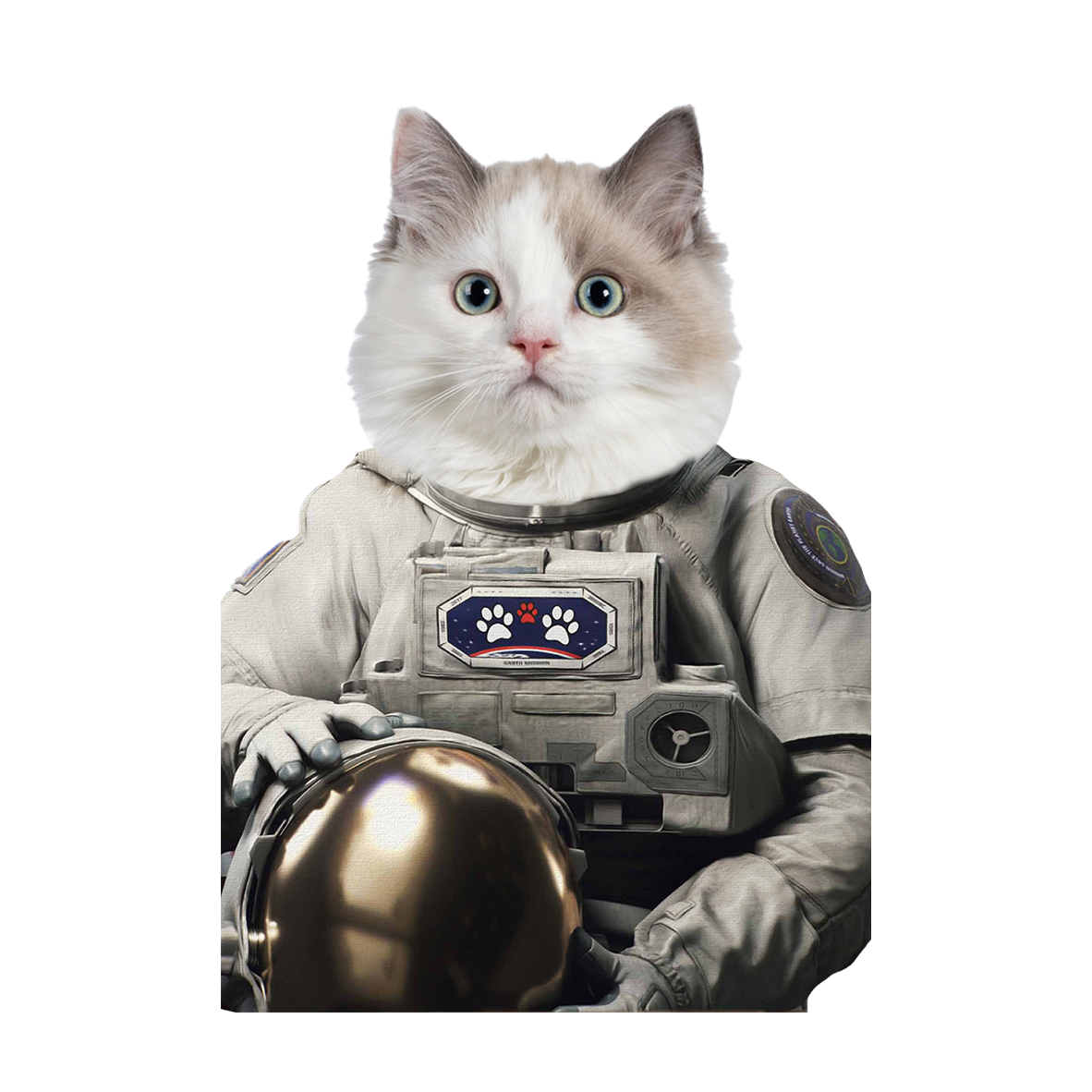 Custom Photo Pet Astronaut