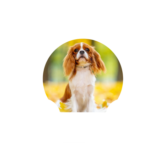 Custom Photo Dog Custom Photo I Will Carry You With Me