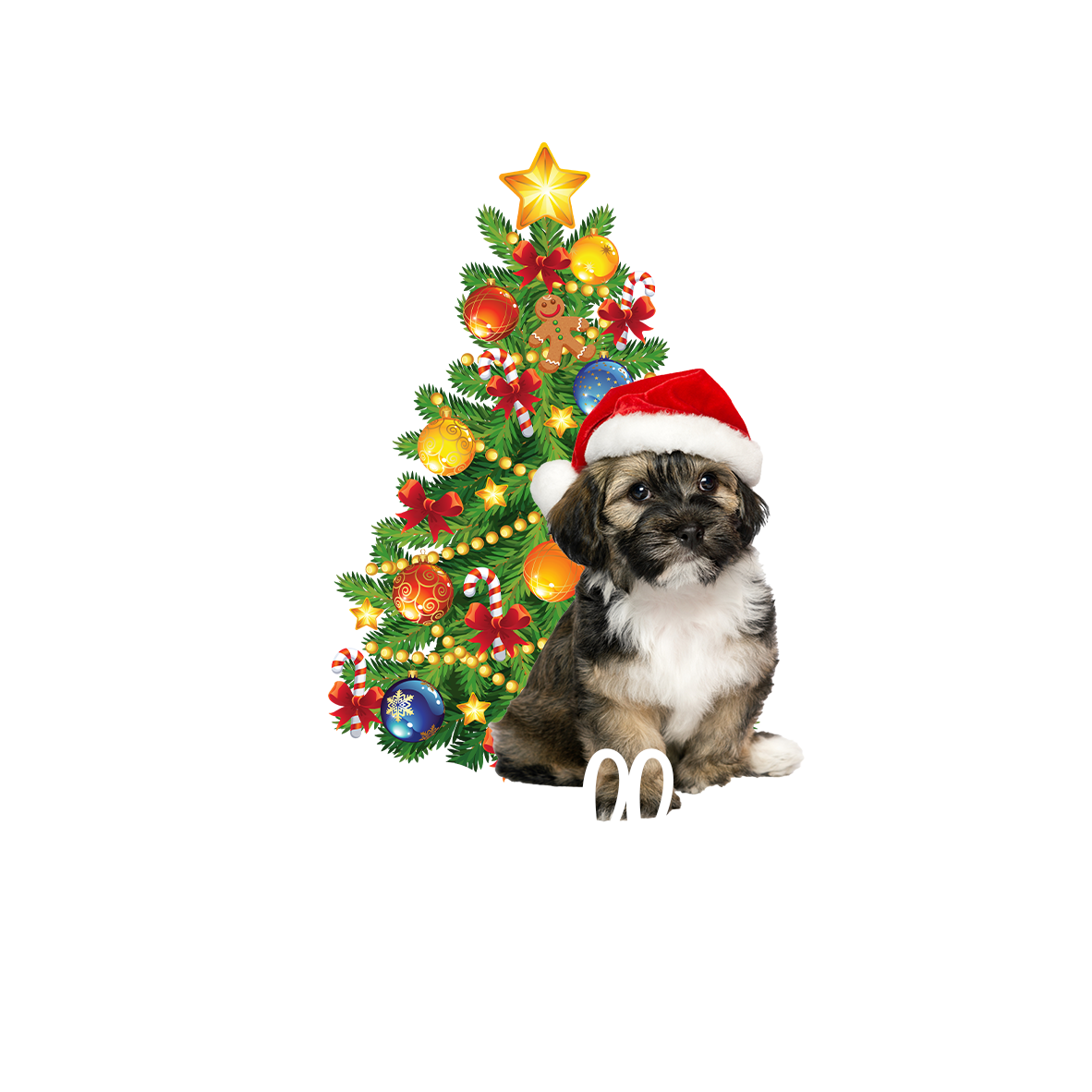 Custom Photo Dog Xmas First Christmas