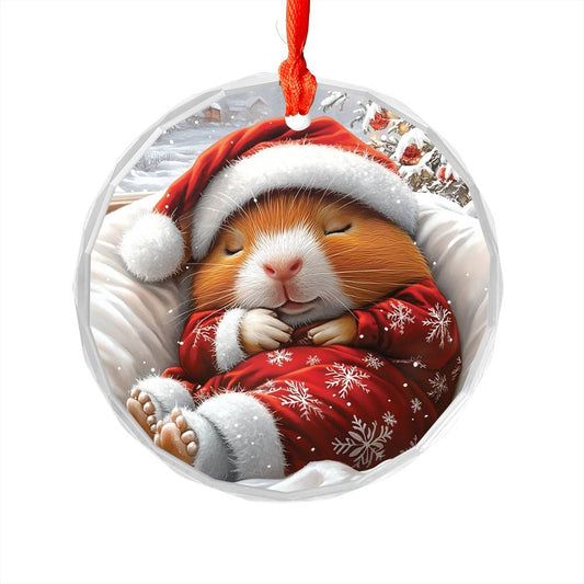 Guinea Pig Sleeping In Bed Design 4