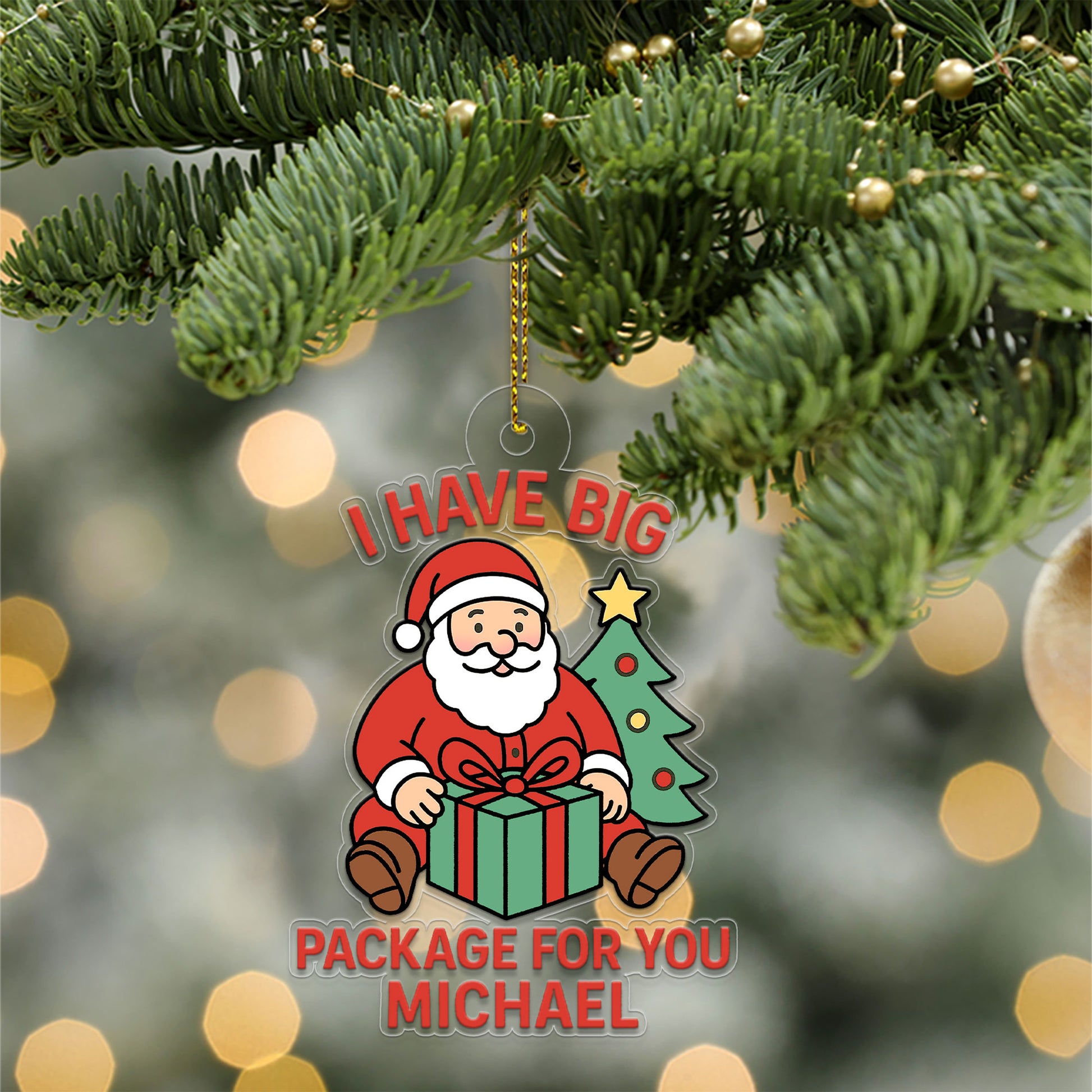 Personalized I Have Big Package For You Ornament, Xmas Hanging Ornament Gift, Funny Ornament, Gifts For Kids