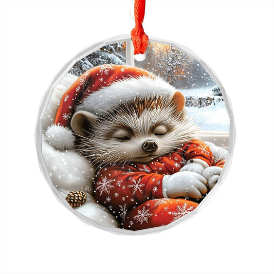 Hedgehog Sleeping In Bed Design 2