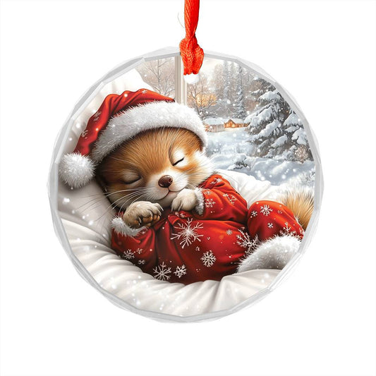 Ferret Sleeping In Bed Design 2