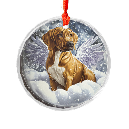 Angel Rhodesian Ridgeback Dog 4