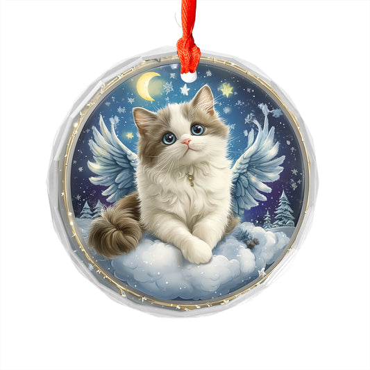 Angel Ragdoll Cat 1