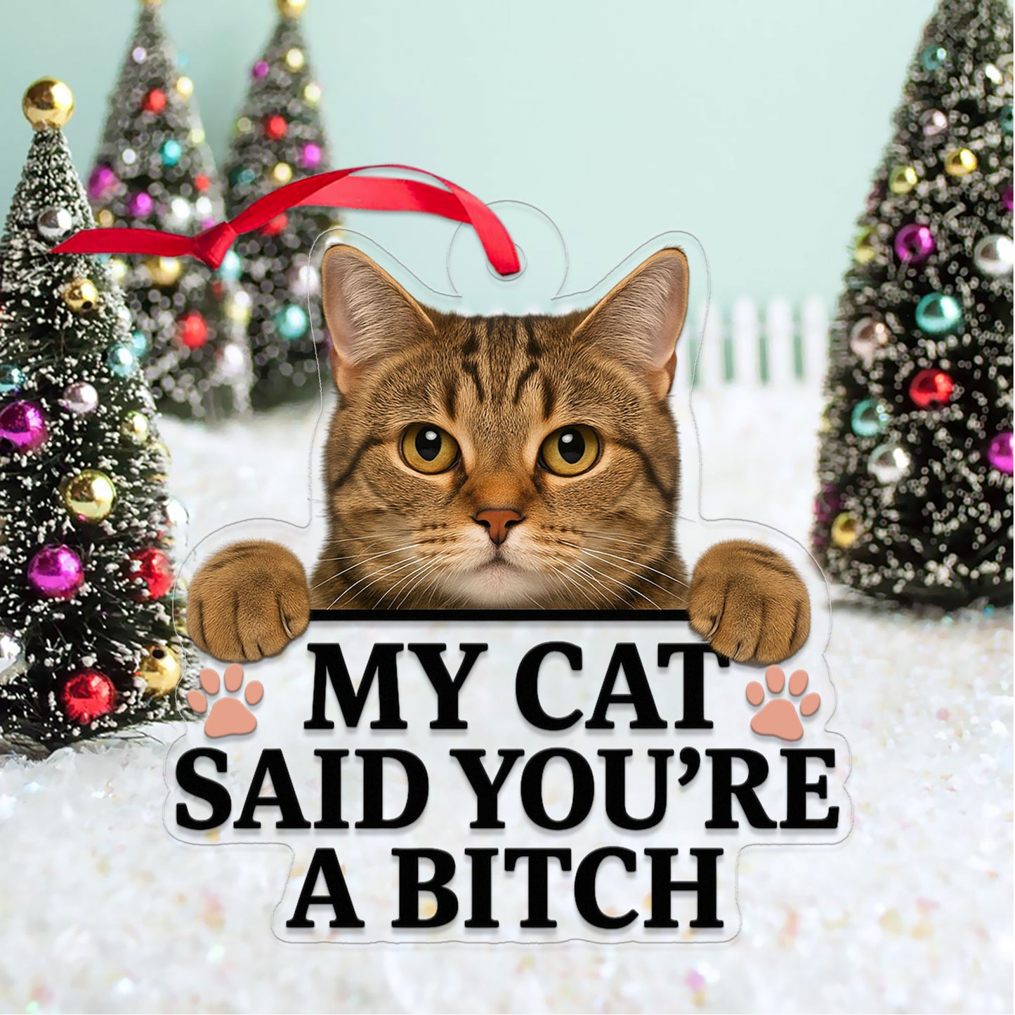 Custom Photo Pet Ornament, Funny Personalized Pet Gift, Custom Photo Pet Said You're A B_tch Ornament, Pet Lover Humor Christmas Decor