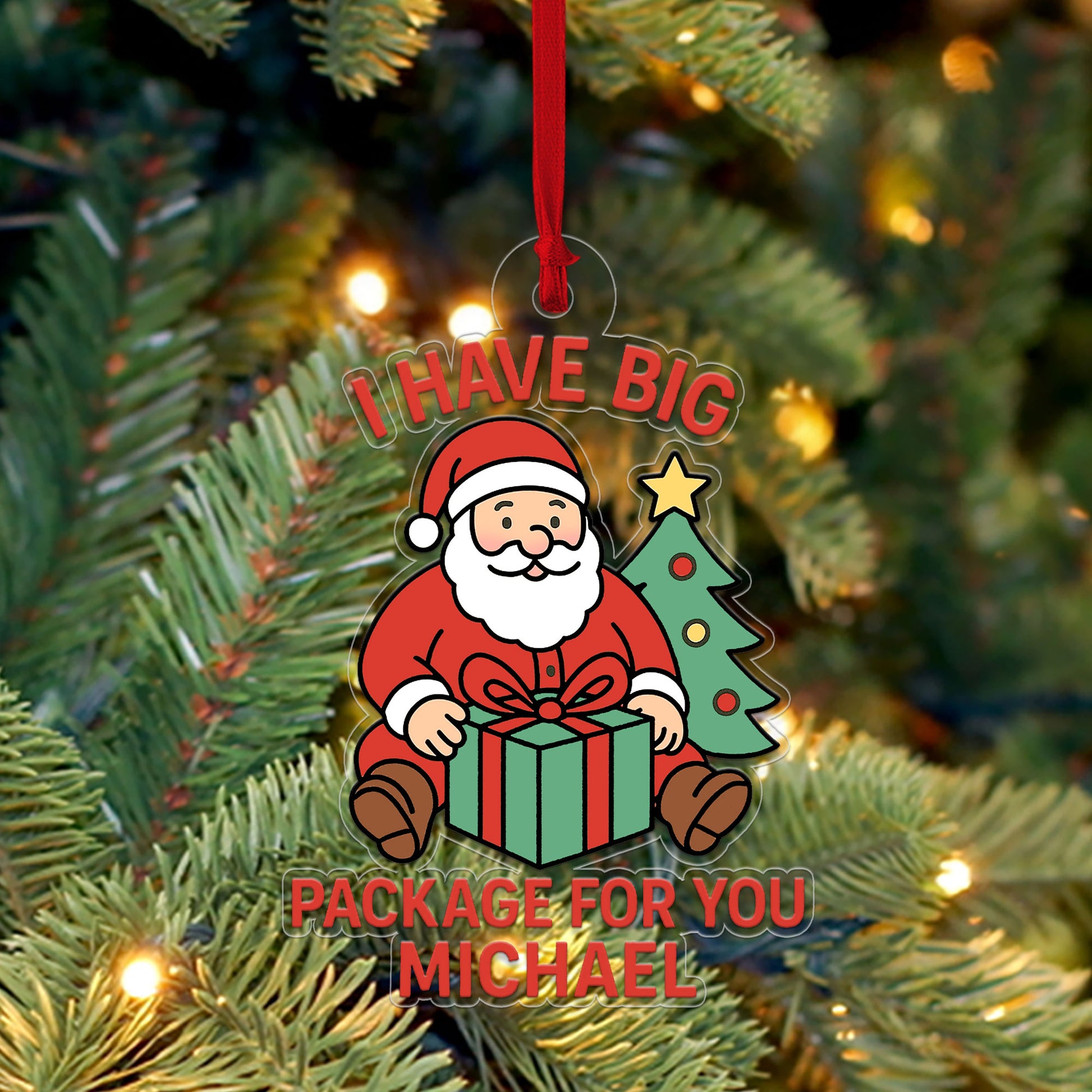 Personalized I Have Big Package For You Ornament, Xmas Hanging Ornament Gift, Funny Ornament, Gifts For Kids