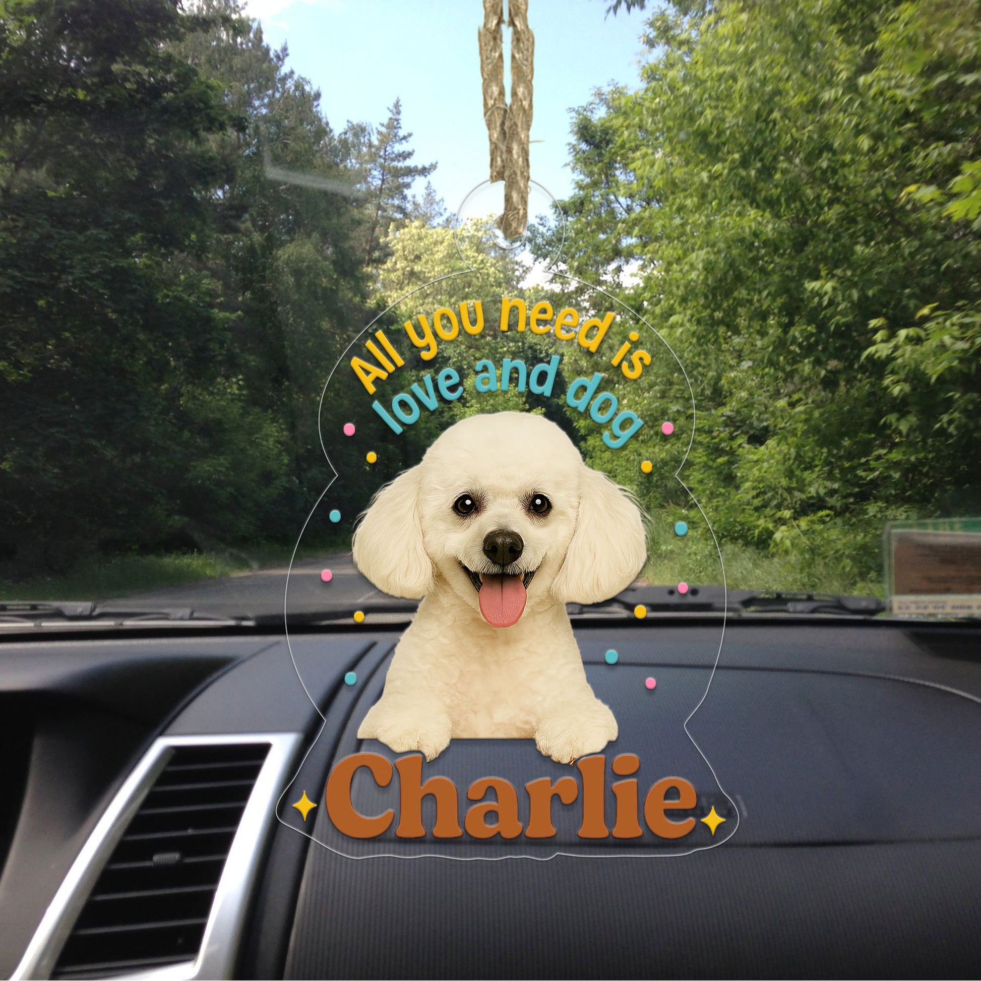 Custom Pet Photo with Name Ornament, Personalized Pet Gift, Gift For Pet Lover, Christmas Pet Decor