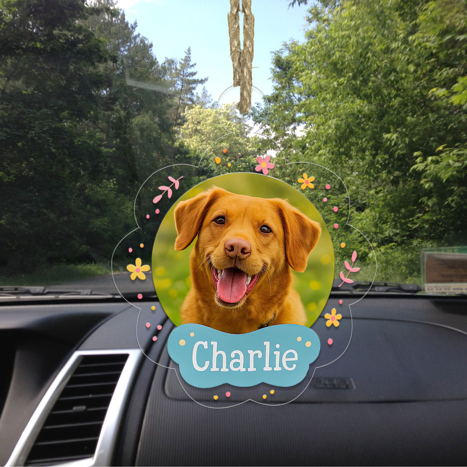 Custom Photo Pet Ornament, Personalized Pet Memorial, Custom Pet Decor for Pet Lovers, Holiday Pet Gift