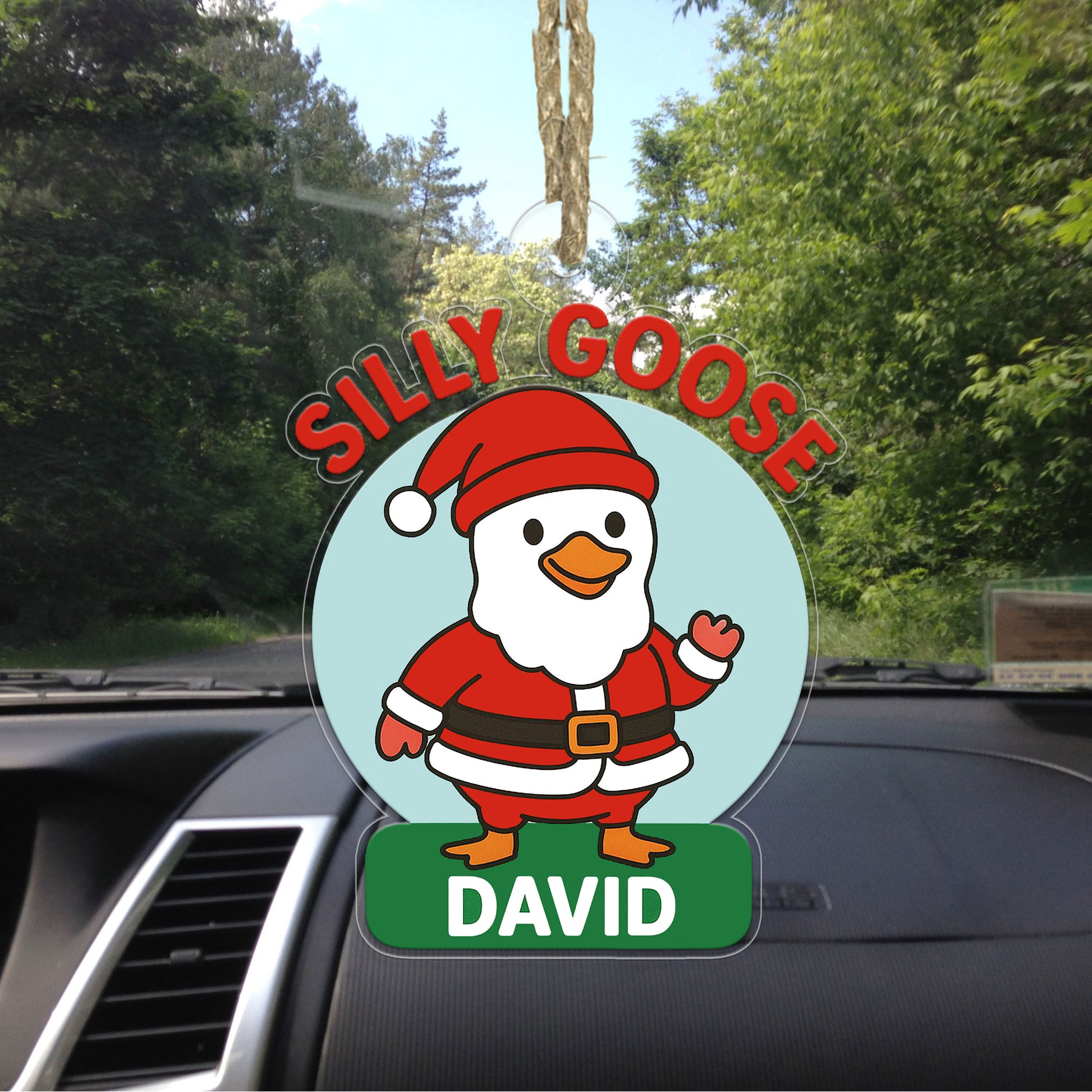 Personalized Silly Goose Christmas Acrylic Ornament, Personalized Holiday Tree Decoration Gift, Funny Animal Ornament, Meme Ornament