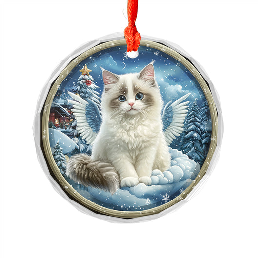 Angel Ragdoll Cat 3