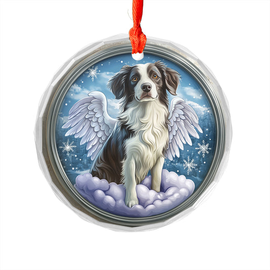 Angel Border Collie Dog 1