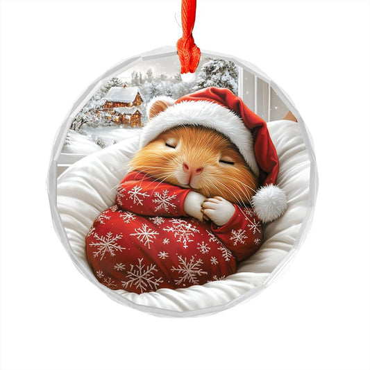Guinea Pig Sleeping In Bed Design 1