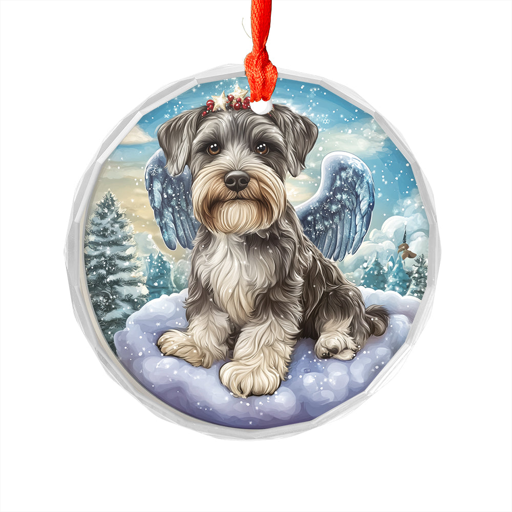 Angel Miniature Schnauzer Dog 1