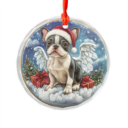 Angel Boston Terrier Dog 3