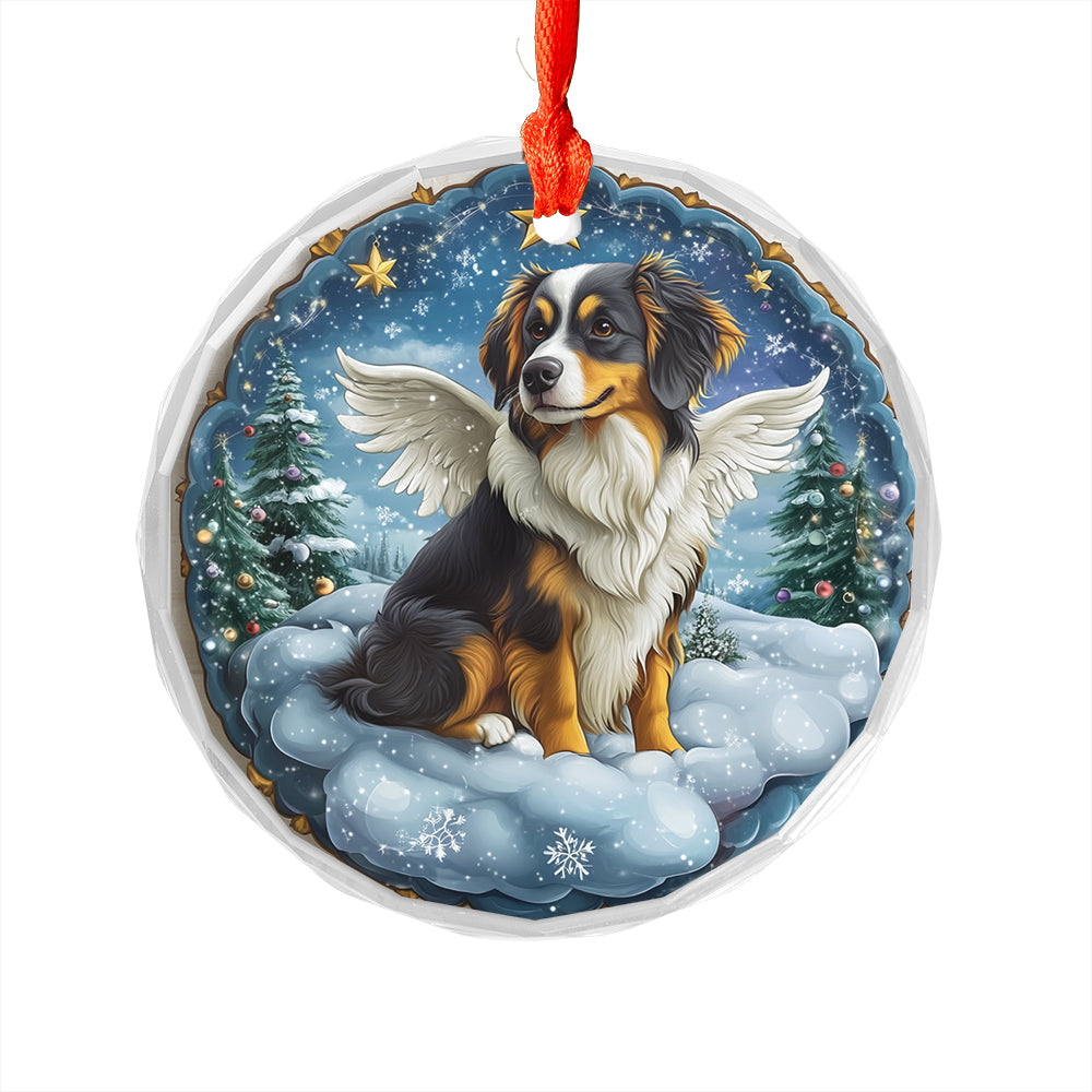 Angel Australian Shepherd Dog 1