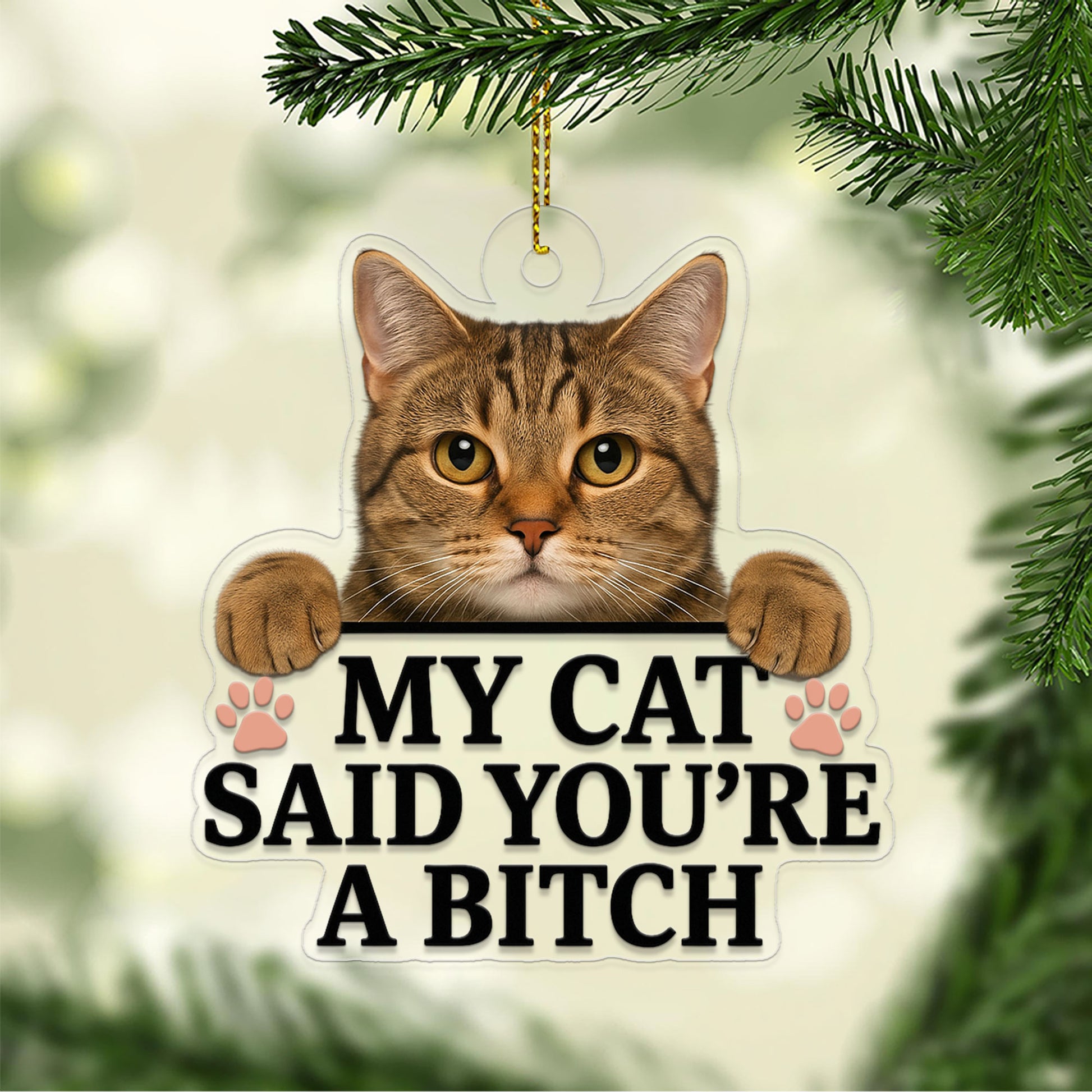 Custom Photo Pet Ornament, Funny Personalized Pet Gift, Custom Photo Pet Said You're A B_tch Ornament, Pet Lover Humor Christmas Decor