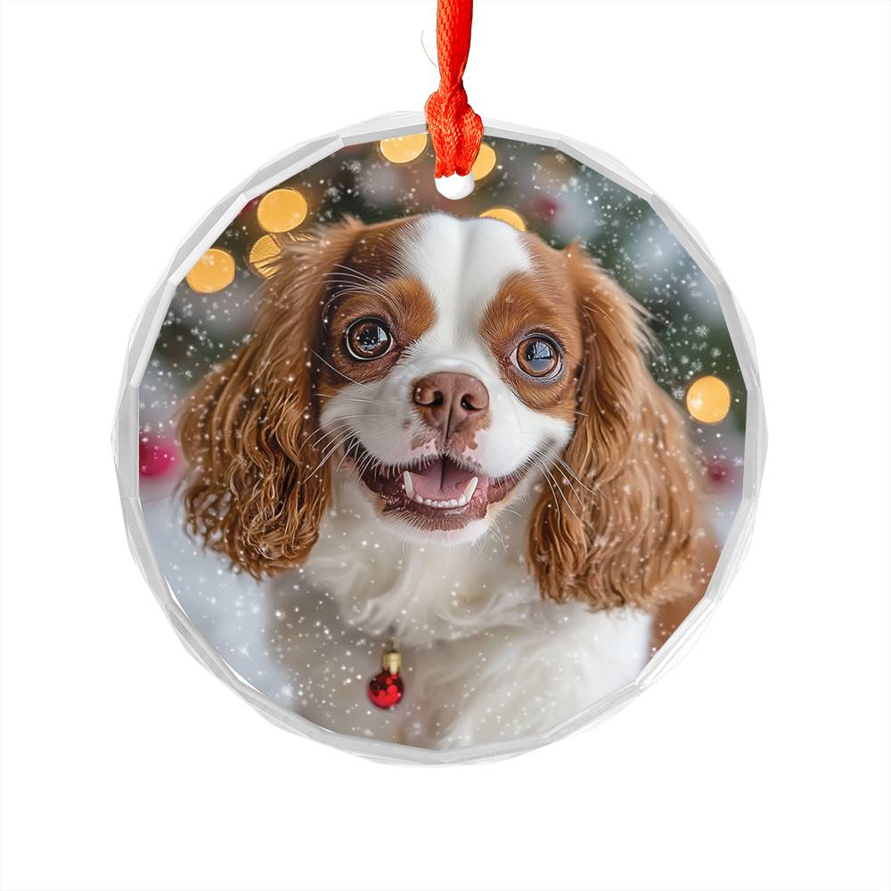 Beautiful Angus Cavalier King Charles Spaniel Dog Christmas Night Design 2 Glass Ornament