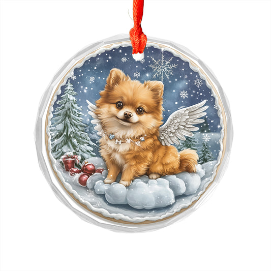 Angel Pomeranian Dog 3