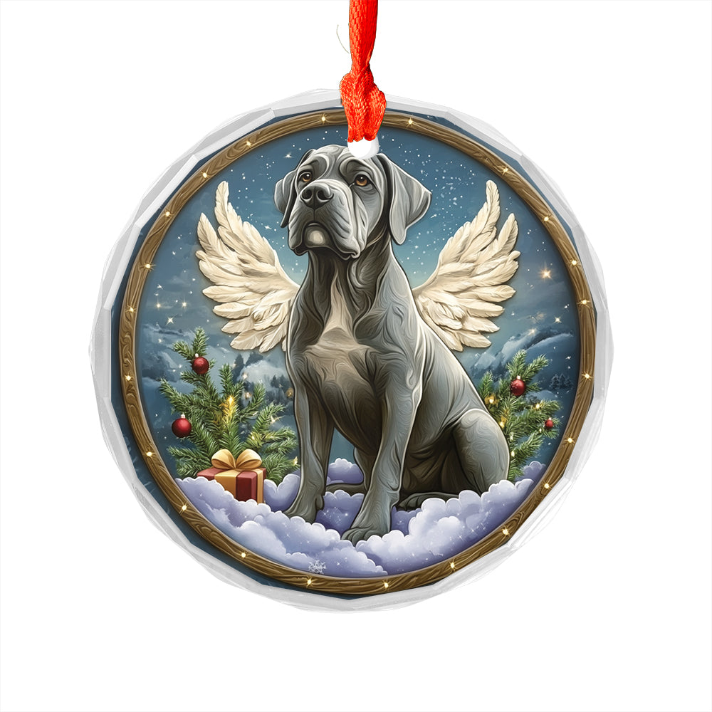 Angel Mastiff Dog 4