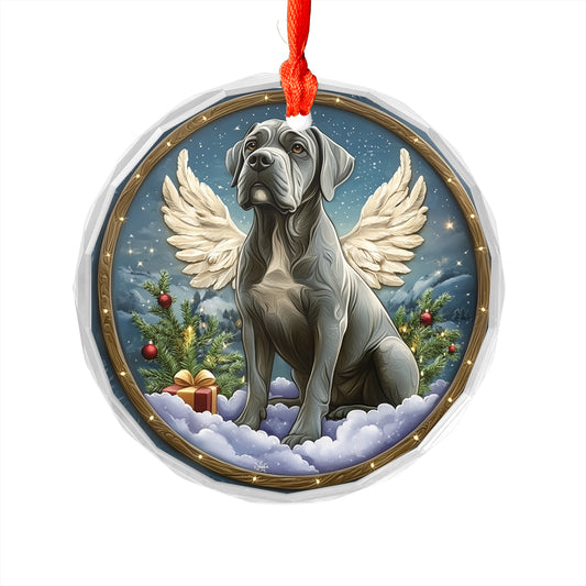 Angel Mastiff Dog 4
