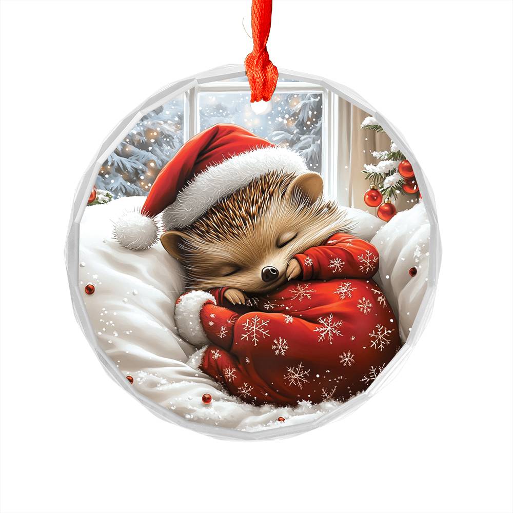 Hedgehog Sleeping In Bed Design 4
