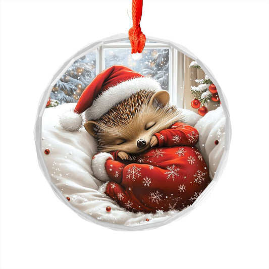 Hedgehog Sleeping In Bed Design 4