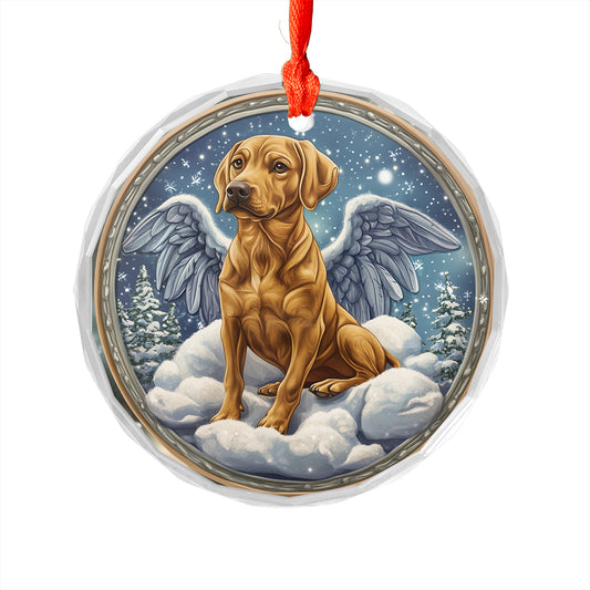 Angel Rhodesian Ridgeback Dog 3