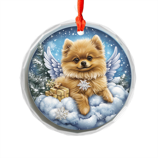 Angel Pomeranian Dog 1