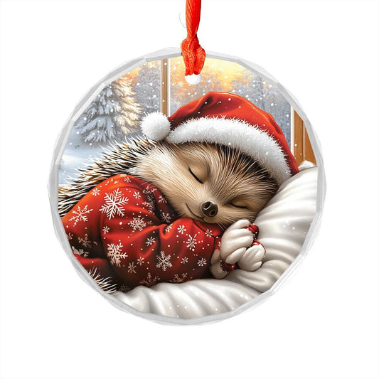 Hedgehog Sleeping In Bed Design 3