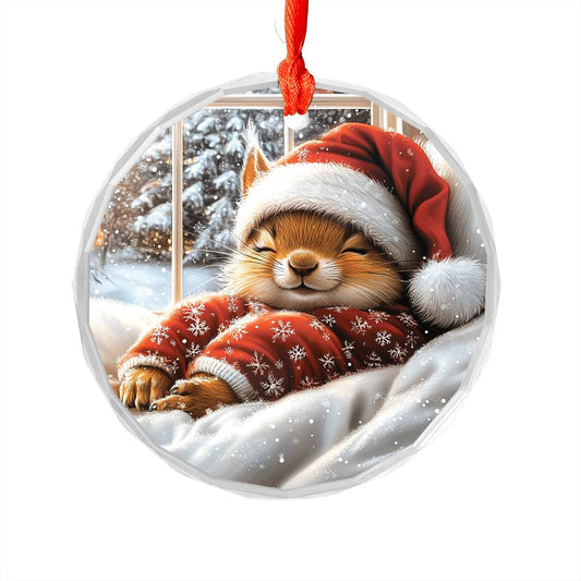 Squirrel Sleeping In Bed Design 3