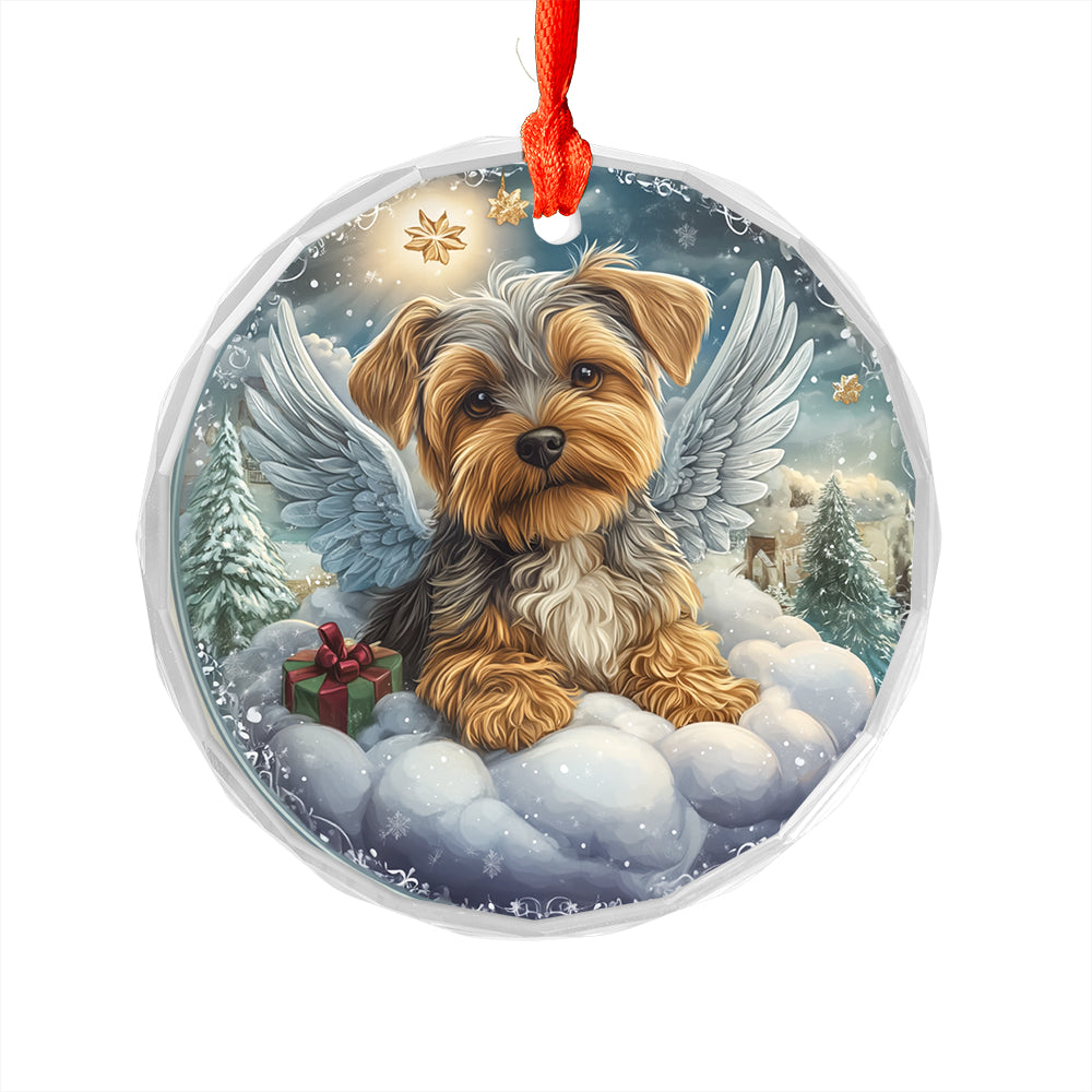 Angel Yorkshire Terrier Dog 1