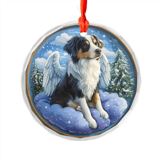 Angel Border Collie Dog 2