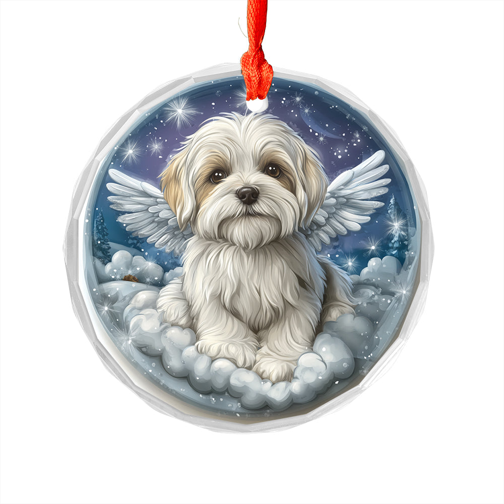 Angel Maltese Dog 4