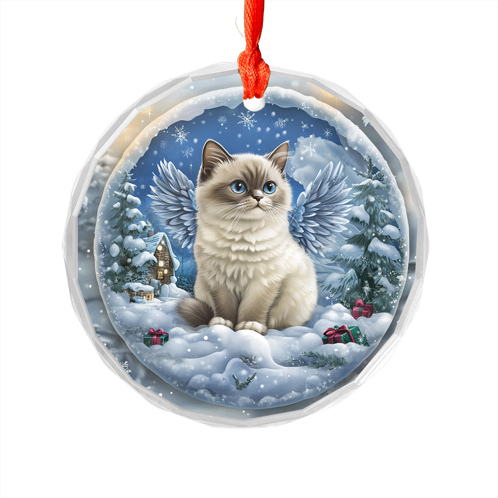 Angel Siamese Cat 2