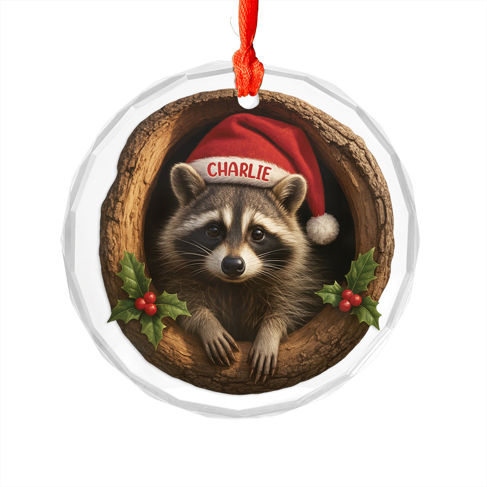Custom Name Raccoon Xmas