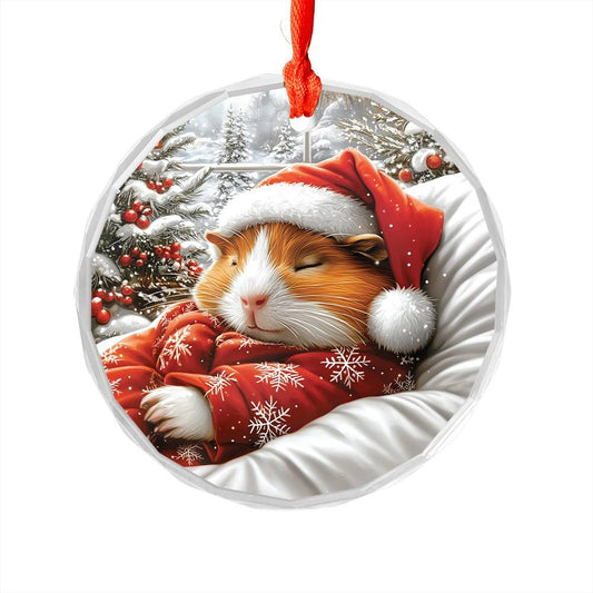Guinea Pig Sleeping In Bed Design 3