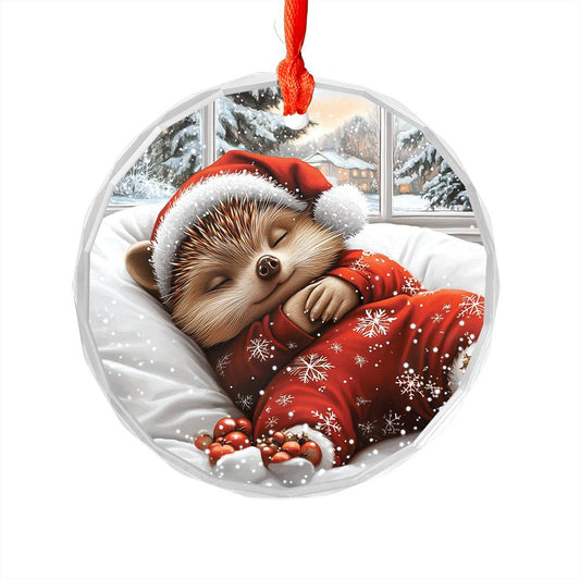 Hedgehog Sleeping In Bed Design 1