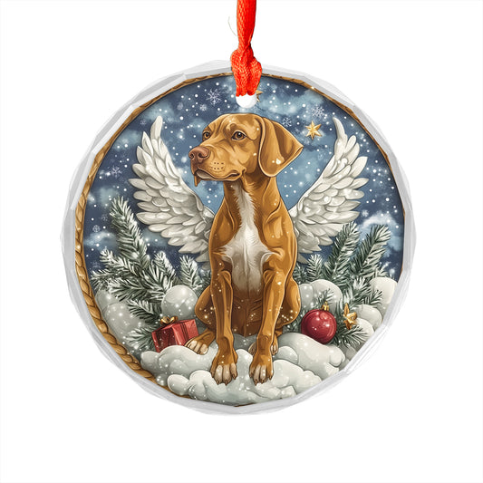 Angel Rhodesian Ridgeback Dog 1