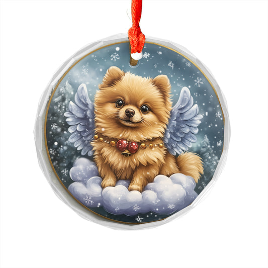 Angel Pomeranian Dog 4