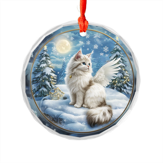 Angel Turkish Angora 4